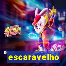 escaravelho significado oculto